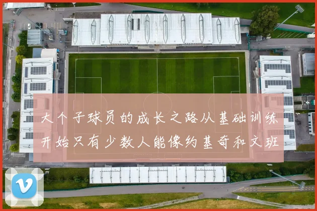 大个子球员的成长之路从基础训练开始只有少数人能像约基奇和文班那样成功