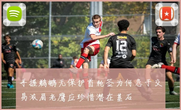 手握鹈鹕无保护首轮签为何急于交易浓眉老鹰应珍惜潜在基石