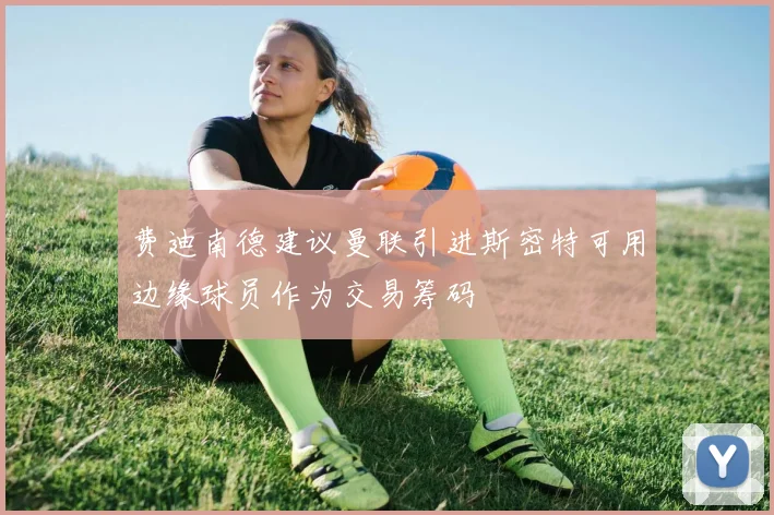 费迪南德建议曼联引进斯密特可用边缘球员作为交易筹码