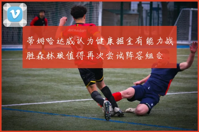 蒂姆哈达威认为健康掘金有能力战胜森林狼值得再次尝试阵容组合